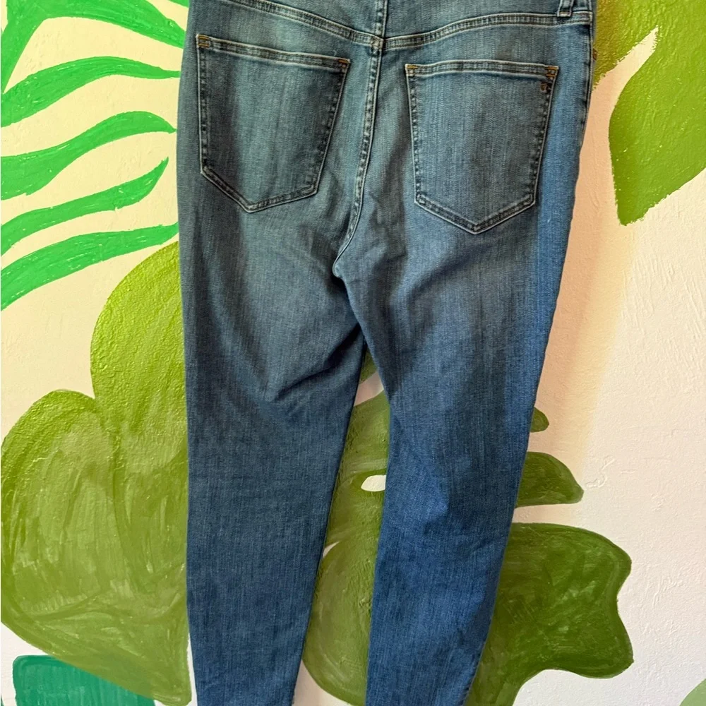 Madewell Skinny Jeans in Mid Blue Wash